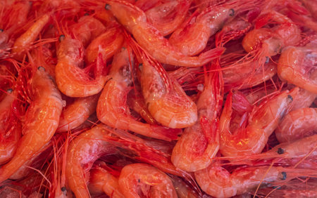 A pile of shrimps for sale at a fish counter. Fresh prawn sale in a fish market. Shrimps in ice.の写真素材