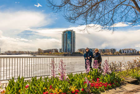 Pier and walkway by riverside. People enjoying a sunny spring day in beautiful riverpark in New Westminster BC, Canada. Beautiful spring landscape-April 5,2022. street photo, travel photoのeditorial素材