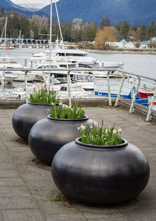 Row of Planters with Flowers and Plants. Big flower pot in garden courtyard. Patio outside decoration elements. street decoration. Plants in the city. Street photo, nobodyの写真素材