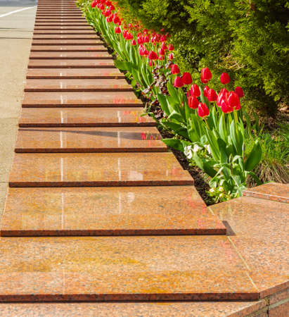 Flower bed of flowers at the pedestrian path in the form of straight lines and geometric shapes. Street photo, selective focus, nobodyの写真素材