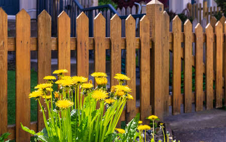 Nice wooden fence around the house. Wooden fence with green lawn and flowers. Street photo, nobody, selective focusの写真素材