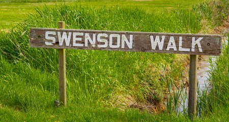 Wooden handmade sign in summer forest, park in Canada. Swenson Walk Park in British Columbia-May 29,2022-Street view, travel photo, nobody, selective focusのeditorial素材