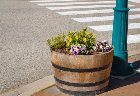 Planter made of barrel wood outdoors. Wooden planter with flowers on a street. Selective focus, nobody, copy space for textの写真素材