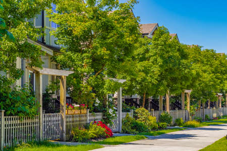 Green city street with walkway in residential area in sunny summer day.の写真素材