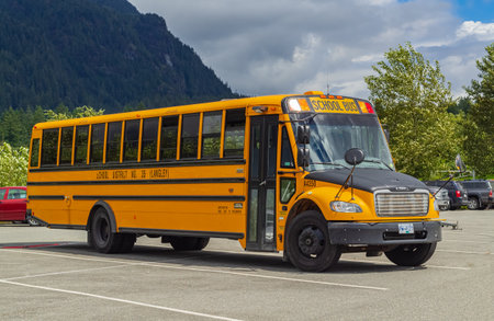 School bus on parking lot on sunny background. yellow school bus. Street photo, nobody, selective...