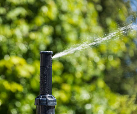Automatic sprinklers watering grass. Garden Water Systems. Irrigation System Watering the green...