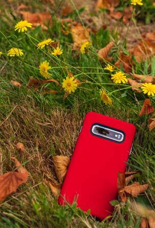 The phone is in a red cover on a grass. Cellphone in red case isolated on natural background. Nobody, selective focusの写真素材