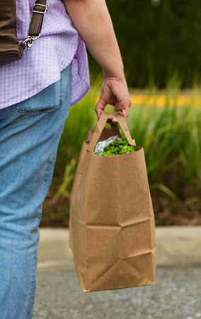 Carrying a healthy bag. Cropped image of a woman holding paper shopping bag full of fresh...