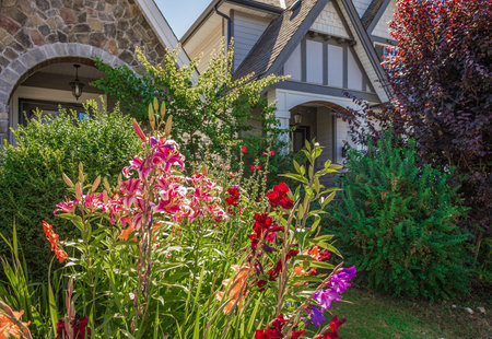 Entrance to a home through a beautiful garden with colorful flowers. Plants and flowers in pots on a doorstep leading to the entrance of a house. Front of a house with garden design. Nobody, street photoの写真素材