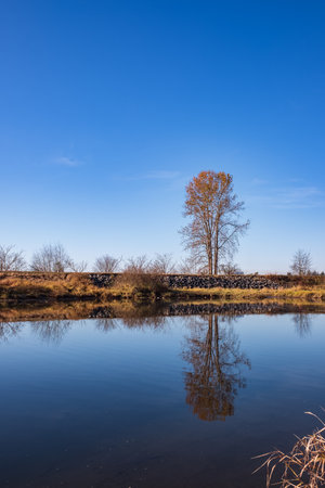 Autumn landscape beautiful colored trees over the river. Autumn trees in the park at the morning in...