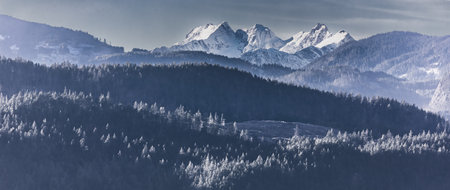 Layers of mountain. Smoky Layers Upon Layers in winter season. Mountain range with visible silhouettes through the morning fogの写真素材