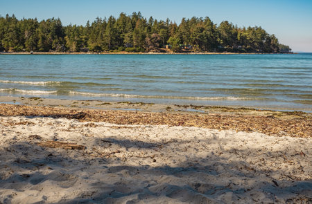 Beautiful island with sand and trees at the ocean. Beach sand and ocean waves sea water foam texture background. The sea wave rolls on the shore. Travel photo, nobodyの写真素材