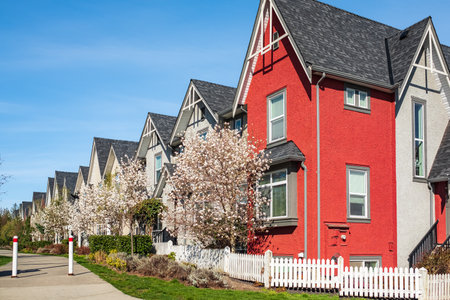 A perfect neighborhood. Houses in suburbs at Spring in the north America. Real Estate Exterior Front Houses on a sunny day. Big custom made luxury houses with nicely landscaped front yardの写真素材