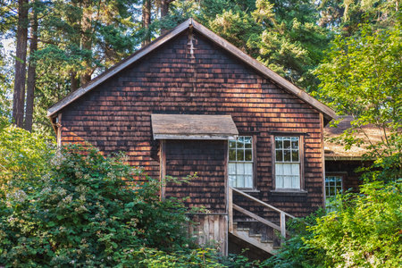 Old wooden house in woods. House made of wood in the forest. wooden cabin. Travel photo, nobody