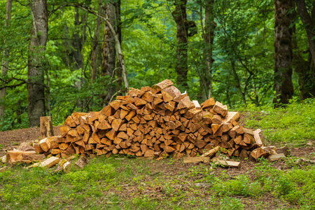 A pile of stacked firewood, prepared for heating the house, Chopped firewood on a stack. Pile of...