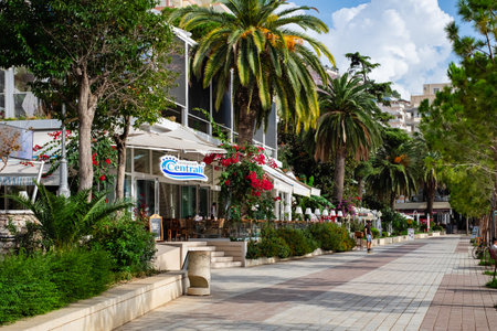 Summer view of alley with palms in Saranda.. Promenade walkway by the beach Albania Europe. Summer landscape. Traveling concept background. Date palms on the embankment with blue sky. October-29, 2023のeditorial素材