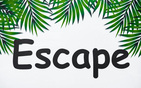 Text of ESCAPE. Escape word sign on wall background. Escape message, text on the white background and leaves.の写真素材