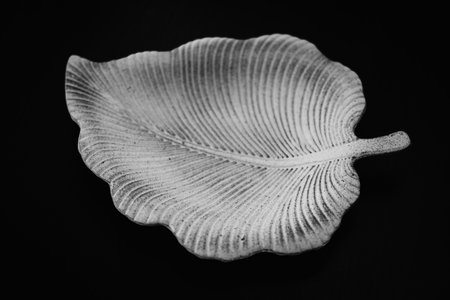 Beautiful leaf shaped ceramic plate on black background, top view. Nobody, selective focusの写真素材