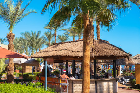 Tropical Beach with chairs and palm leaves umbrellas on a beautiful sunny day. Inspirational beach resort hotel. Egypt-December 15,2023のeditorial素材