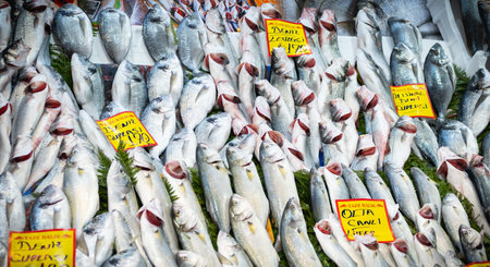 An Image of Fresh Fish display in the local market. Assorted fish in good arrangement at fish...