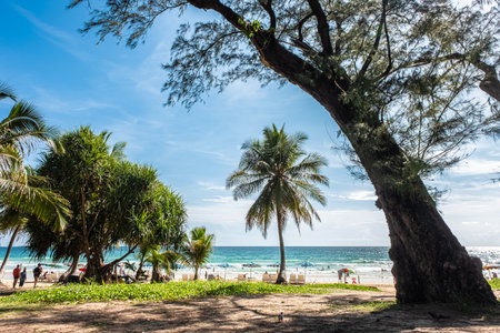 Vacation in tropical countries. Beach chairs, umbrella and palms on Patong beach Thailand. Tropical beach scenery Andaman Sea, Phuket Island. Summer tropical vacation. Travel photoの写真素材