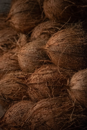 Background of coconuts close up. Pile of dry coconuts. Unpeeled Coconuts, Cocos nucifera. Nobody. Semi-husked coconuts.の写真素材