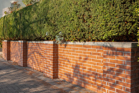 Brick wall or fence at the family house. Residencial house fence made of red brick with trimmed...