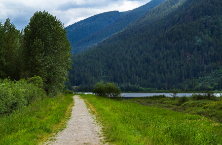A path way passage through the forest. walking path through the forest in BC Canada. Travel photo, nobody. BC National Parks. Canada's national park with coniferous trees.の写真素材
