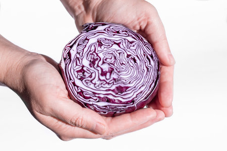 Close up view Woman holding red cabbage in hands. Sliced red cabbage in hand isolated on white background. Purple cabbage on a white backgroundの写真素材