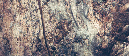 Collage of old cracked brown wood material texture. Background for banner, backdrop or texture. Wood bark background with sea sand. Nobody, copy space, abstract texture.の写真素材