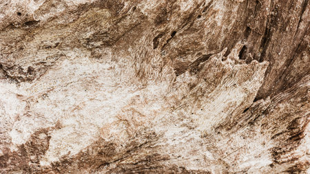 Collage of old cracked brown wood material texture. Background for banner, backdrop or texture. Wood bark background with sea sand. Nobody, copy space, abstract texture.の写真素材