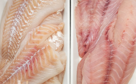 fish raw fillet white code or halibut fresh food. Top view of haddock fillet Fresh uncooked fish fillet slices. Haddock and Cod fish fillets on the display in a storeの写真素材
