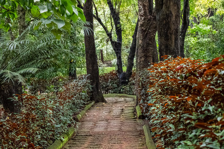 Pathway road in green city park tree forest nature landscape