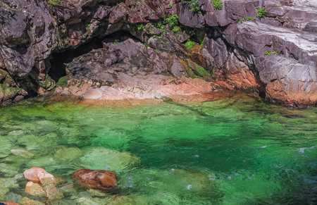 Mountain river in the forest in National Park. A flowing rocky river, green water of mountain river...
