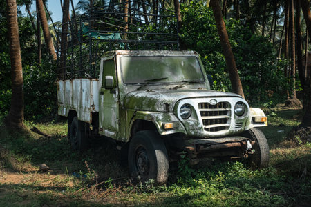 An abandoned rusty old vintage pick up truck vehicle with a worn out paint in a jungleの写真素材