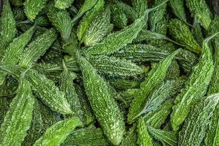 Fresh Momordica charantia or bitter melon for Sale in villages market. Close up of photo Fresh...
