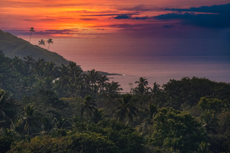 Colorful sunset landscape. Scenic View Of Palm Trees And Beach At Sunset. Tropical sunset. Coconut...