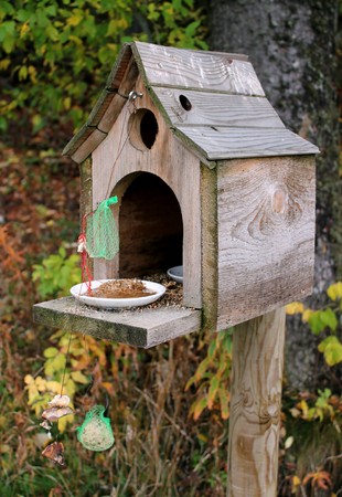 Beautiful made of wood birdhouse with lots of food in the forestの写真素材