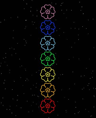 Colored flowers in chakra column by nightの写真素材