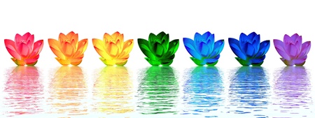 Chakra colors of lily flower upon water in white backgroundの写真素材