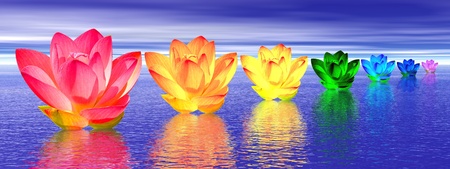 Chakra colors of lily flower upon water in blue night backgroundの写真素材