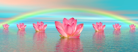 Aligned pink lily flowers on water and under rainbow by beautiful weatherの写真素材