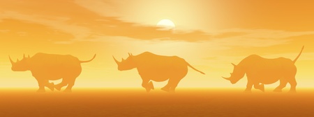 Three rhinoceros running in the savannah by foggy sunset lightの写真素材