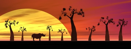Shadows of a rhinoceros in the savannah next to baobabs by sunsetの写真素材