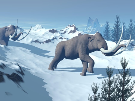 Two big mammoths walking slowly in the snowy mountainの写真素材