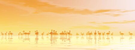 Flock of flamingos standing peacefully in the water by orange sunsetの写真素材