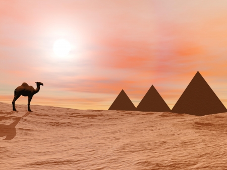 One camel standing in front of three mysterious pyramids in the desert by sunsetの写真素材