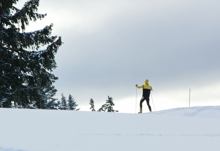Cross country man sking in the mountain next to a fir tree by winter in Jura, Switzerlandの写真素材