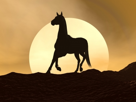 Shadow of a horse galloping on the mountain by sunsetの写真素材