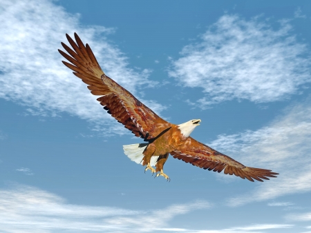 Beautiful eagle flying with wings wide open in blue cloudy skyの写真素材